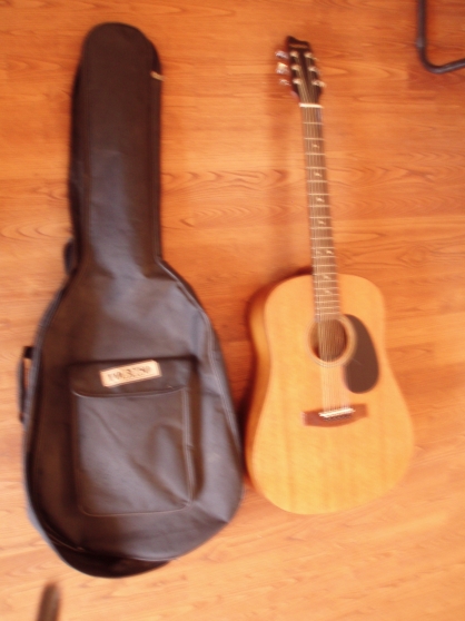 Guitare Folk sami...