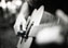 petites annonces professeur de guitare